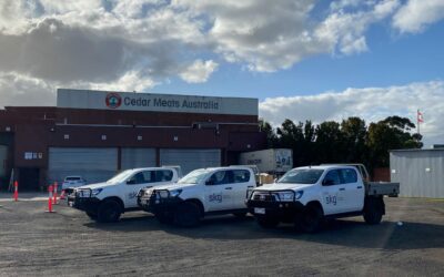 How SGA Cleaned Cedar Meats