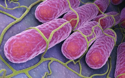 How To Get Rid Of Listeria In Drains