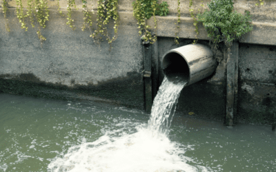 Save 27K p.a On Wastewater Disposal Costs